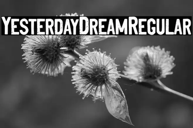 YesterdayDreamRegular Font examples