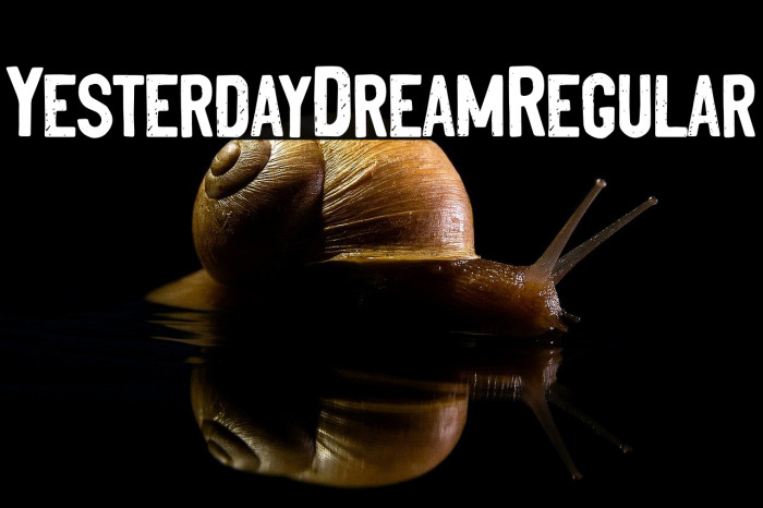 YesterdayDreamRegular Example 3