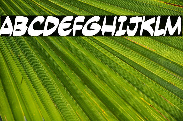 Yesterdays meal Example 1