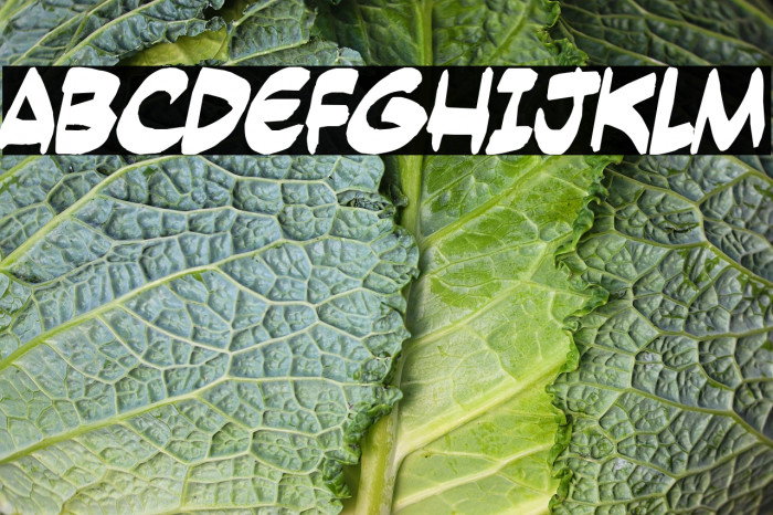 Yesterdays meal Example 2