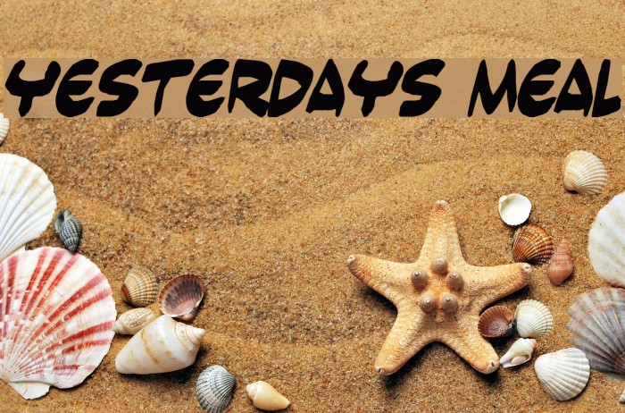 Yesterdays meal Font examples