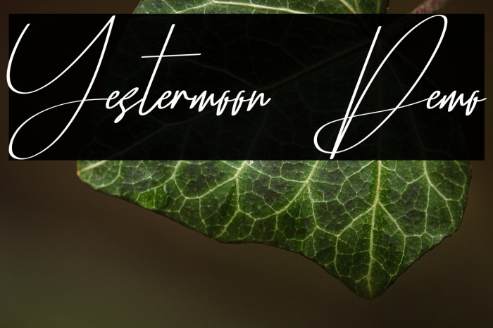 Yestermoon Demo Example 3