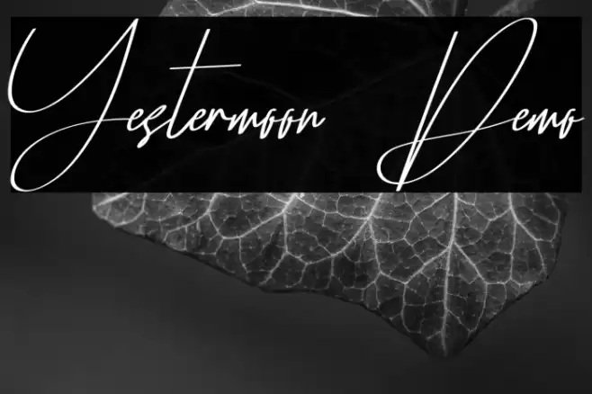 Yestermoon Demo Font examples