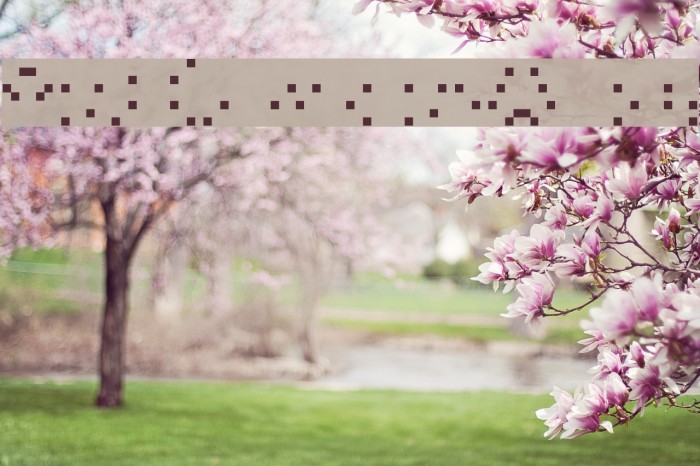 YetBumblerAlias Font examples