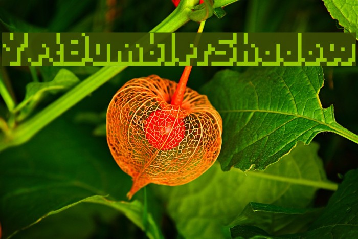 YetBumblerShadow Example 1