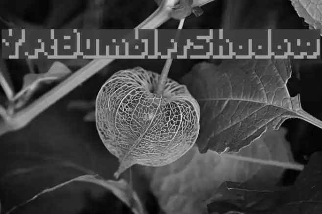 YetBumblerShadow Font examples