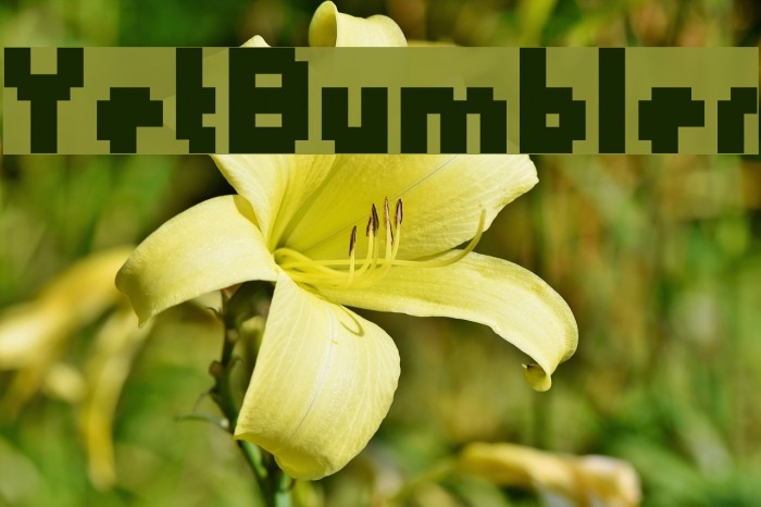 YetBumbler Font examples