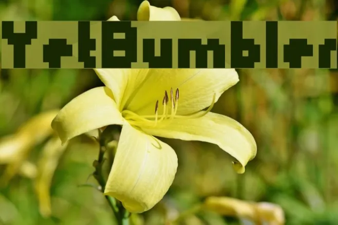 YetBumbler Example 2