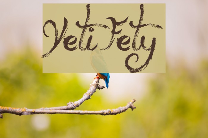 Yeti Fety Font examples