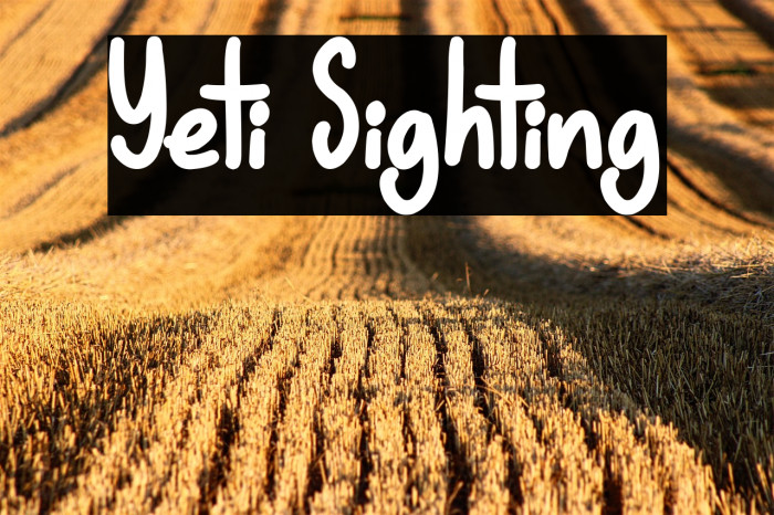 Yeti Sighting Example 1