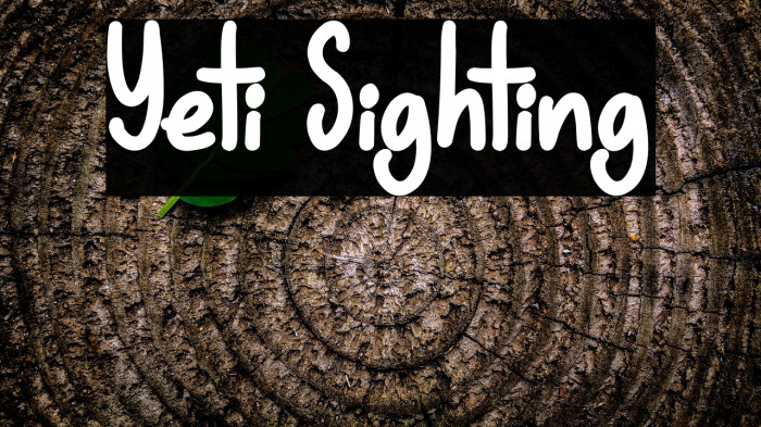 Yeti Sighting Example 2