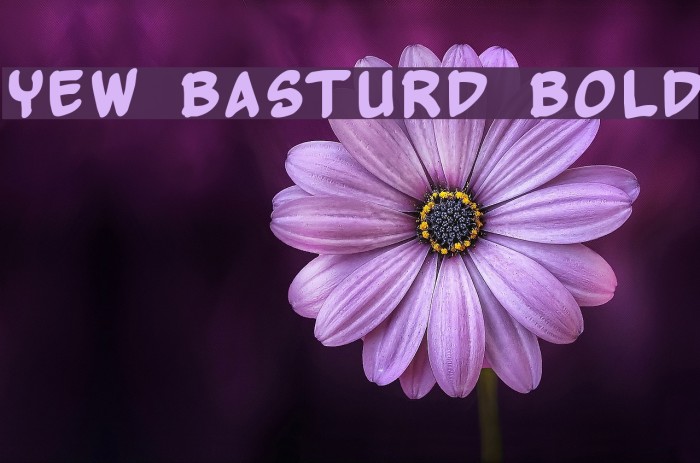 Yew Basturd Bold Font examples
