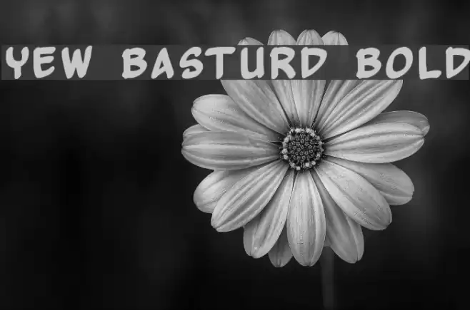 Yew Basturd Bold Schriftart examples