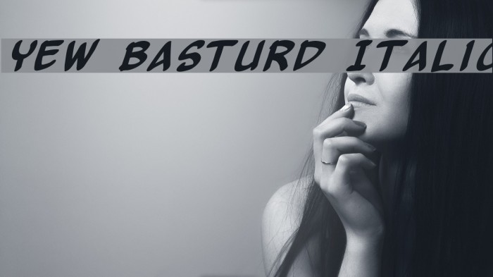 Yew Basturd Italic Font examples