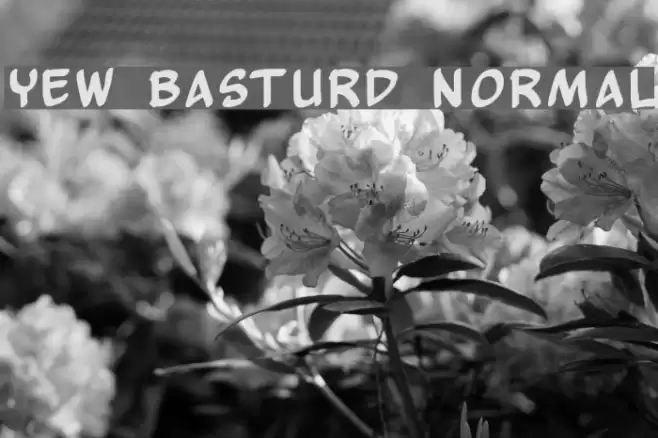 Yew Basturd Normal Font examples