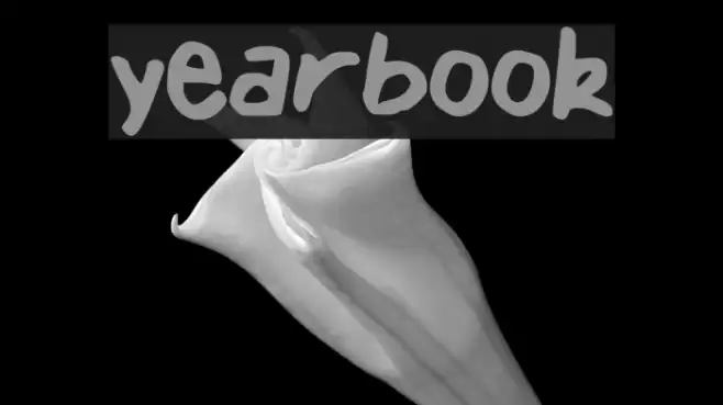 yearbook Font examples