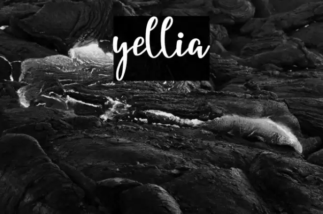 yellia Font examples