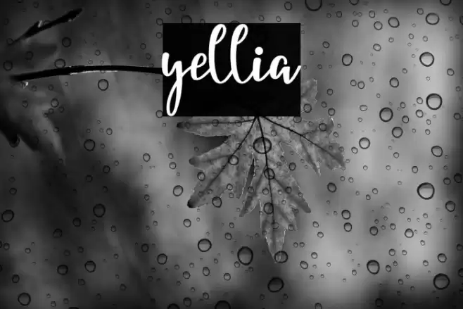 yellia Font examples