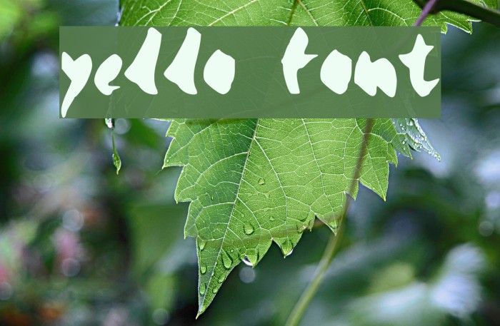 yello Font examples
