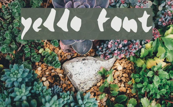 yello Font examples