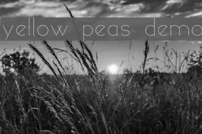 yellow peas demo Font examples