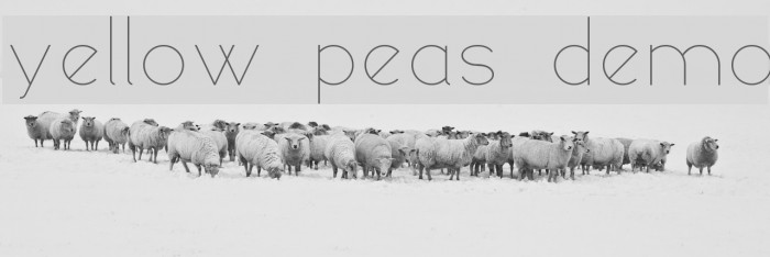 yellow peas demo Font examples