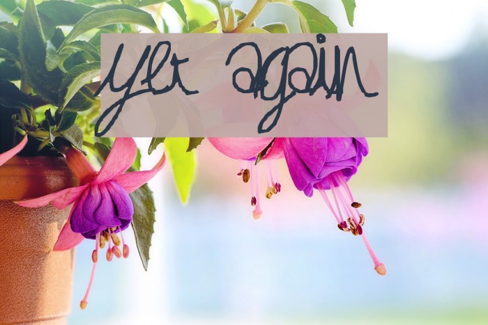 yet again Font examples
