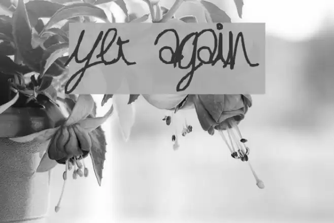 yet again Font examples