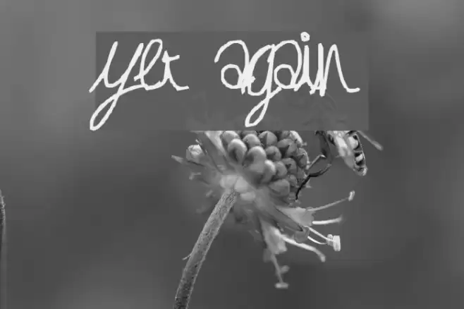 yet again Font examples