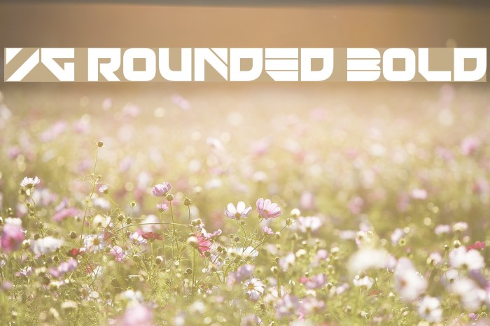 YG Rounded Bold Example 3