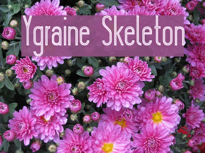 Ygraine Skeleton Example 2