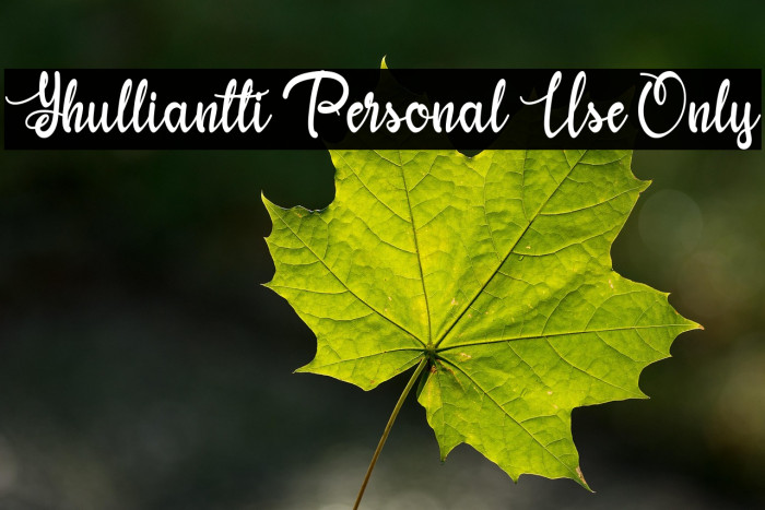 Yhulliantti Personal Use Only Example 1