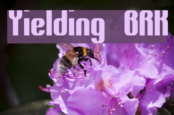 Yielding BRK Font examples