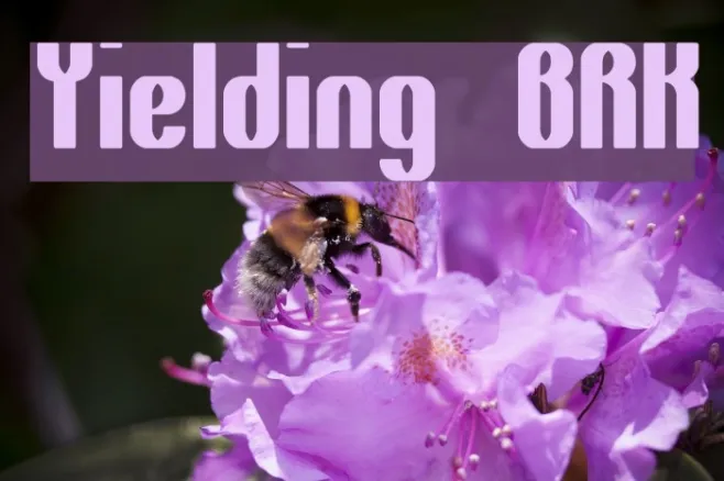 Yielding BRK Example 3