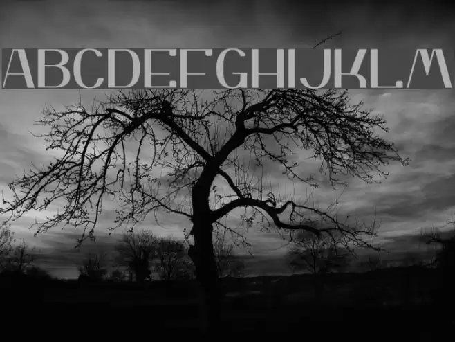 Yiggivoo Normal Font examples