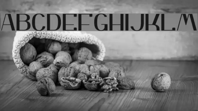 Yiggivoo Normal Font examples