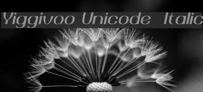 Yiggivoo Unicode Italic Font examples