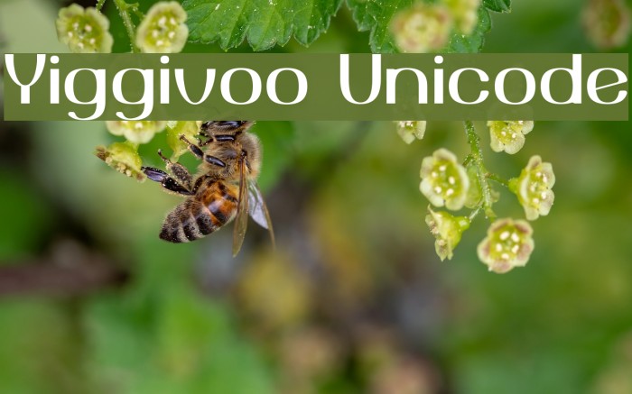 Yiggivoo Unicode Font examples