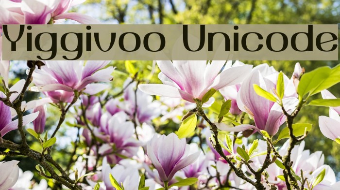 Yiggivoo Unicode Font examples
