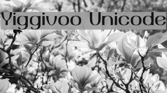Yiggivoo Unicode Fonte examples