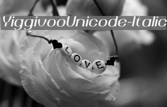 YiggivooUnicode-Italic Font examples