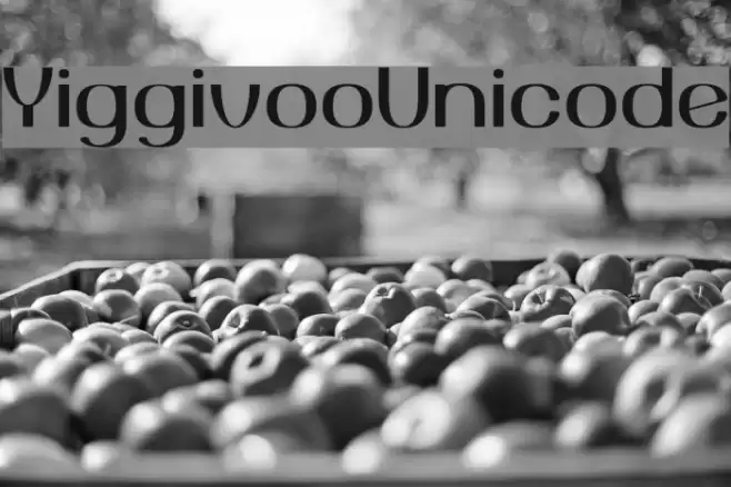 YiggivooUnicode Font examples