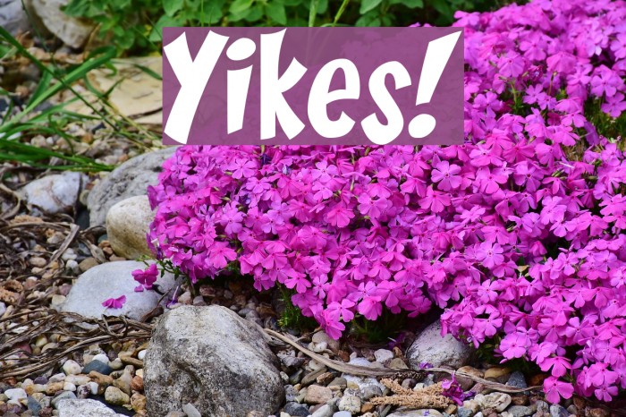 Yikes! Font examples