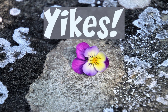 Yikes! Font examples