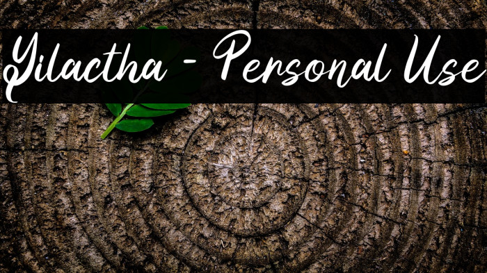 Yilactha - Personal Use Example 2