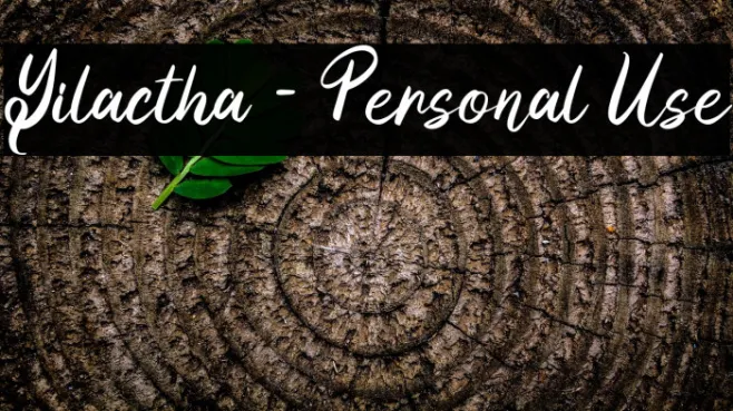 Yilactha - Personal Use Example 2