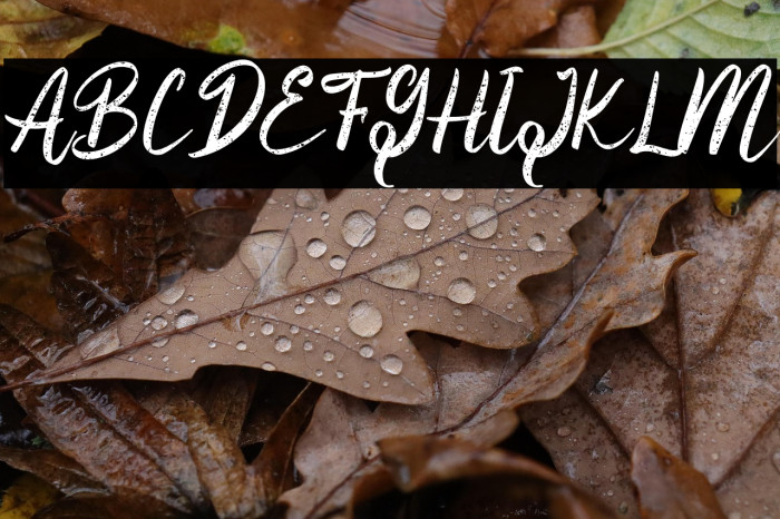 Yilactha Rough - Personal Use Example 3