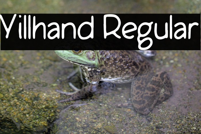 Yillhand Regular Example 2