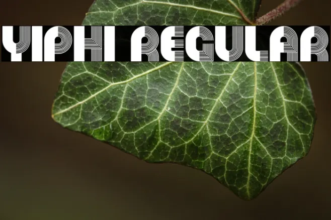 Yiphi Regular Example 1
