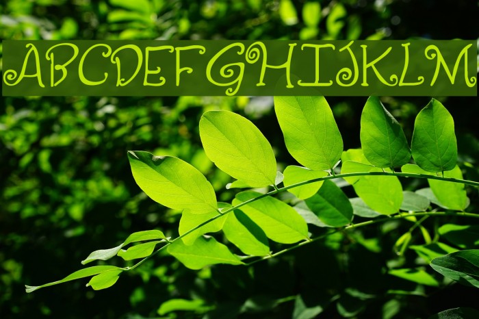 Yippy Alt Font examples
